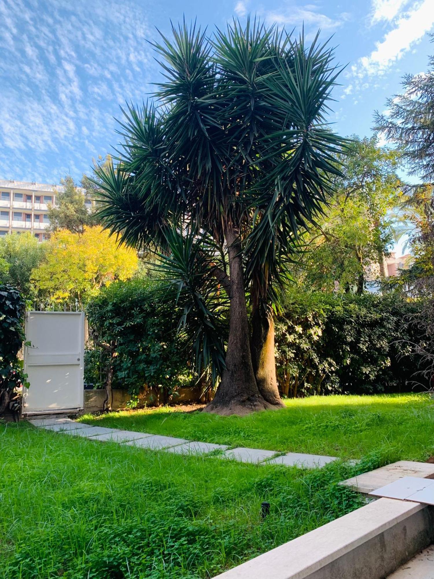 Casa Proto - Garden Pensión Roma